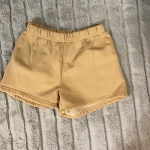Aritzia Shorts